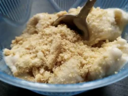 gelato al biscotto
