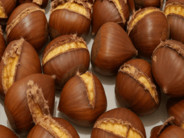castagne sale grosso