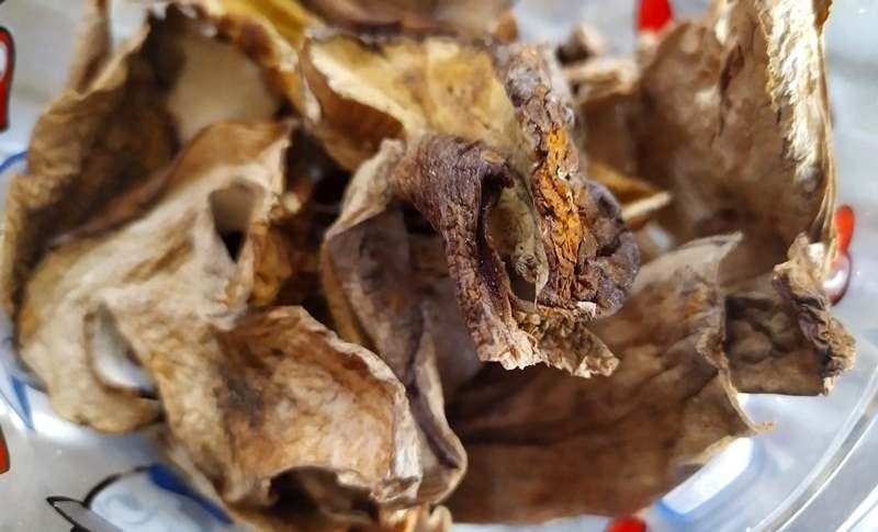 Scaloppine di pollo ai funghi porcini secchi
