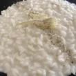 risotto