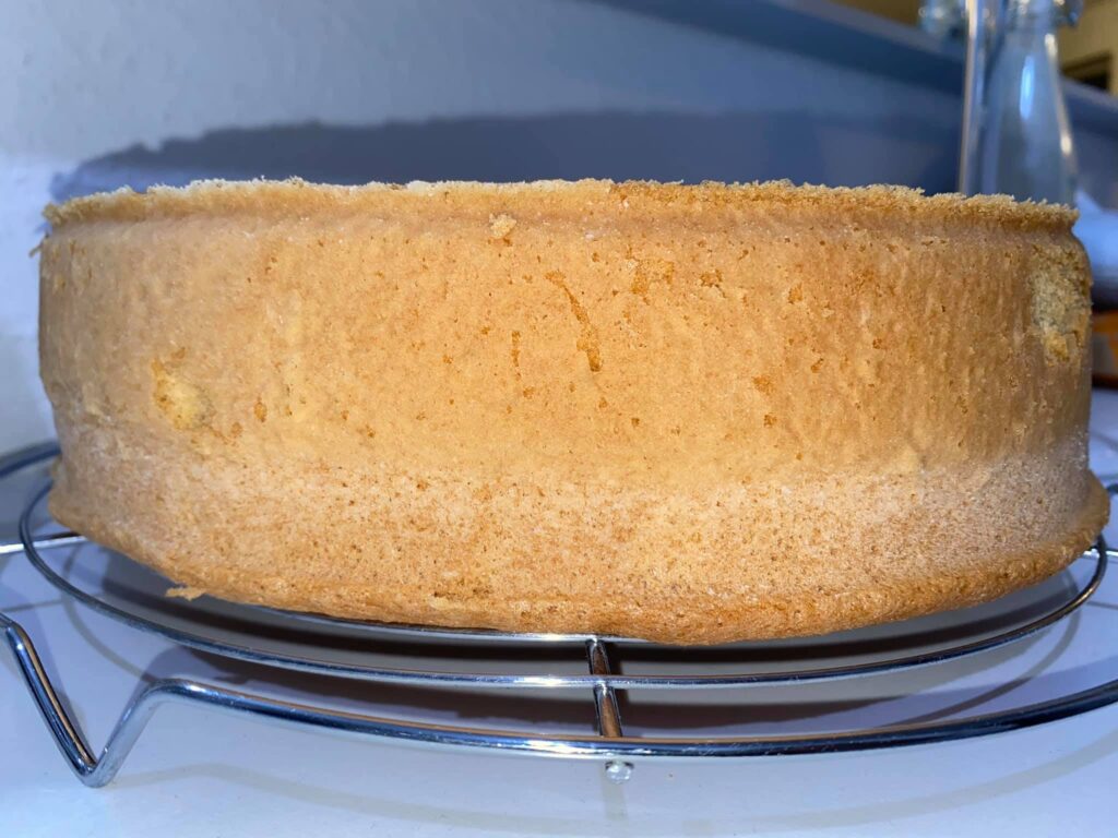 pan di spagna