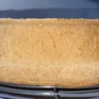 pan di spagna
