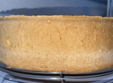 pan di spagna