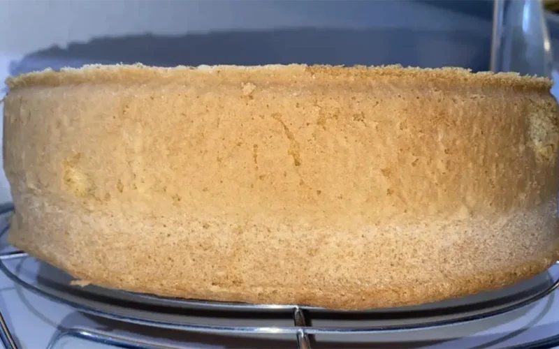 pan di spagna
