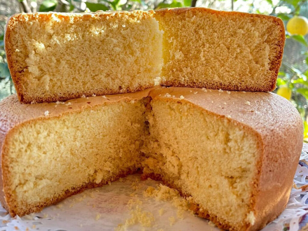 pan di spagna