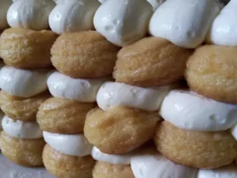 Torta di savoiardi con crema chantilly