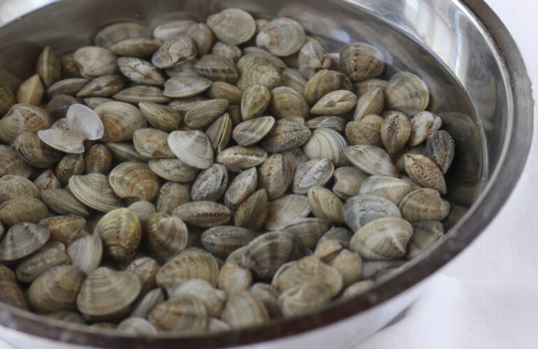 vongole