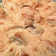 finocchi al forno al parmigiano