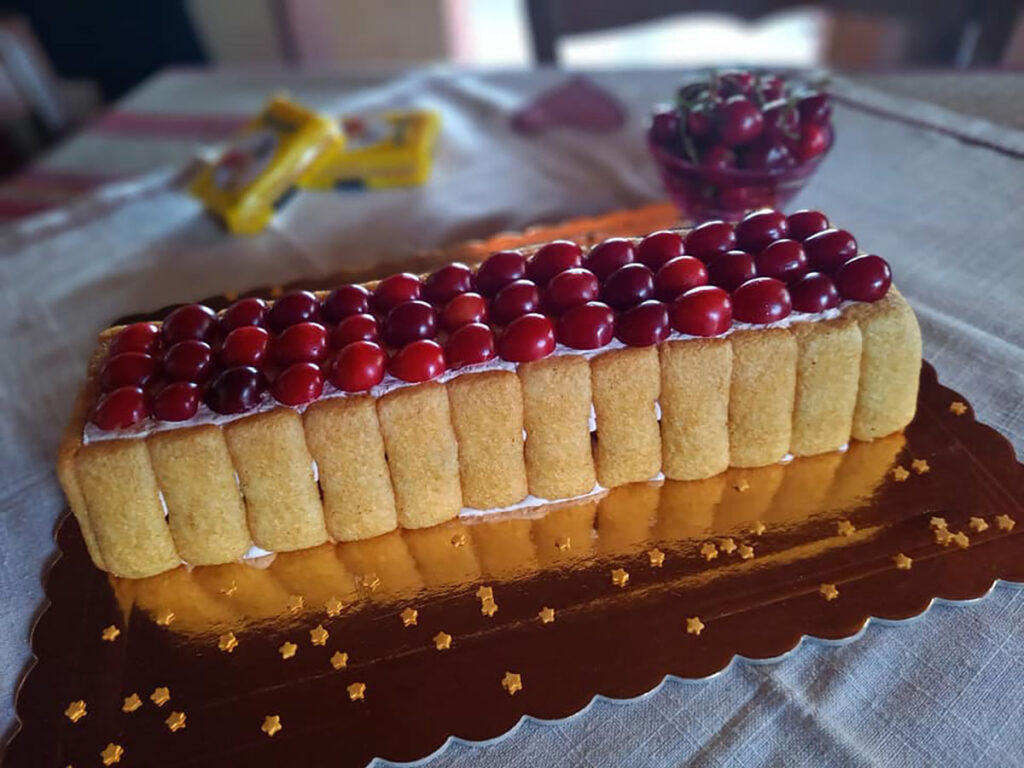 Tronchetto freddo ciliegino 2