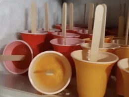 ghiaccioli fatti in casa