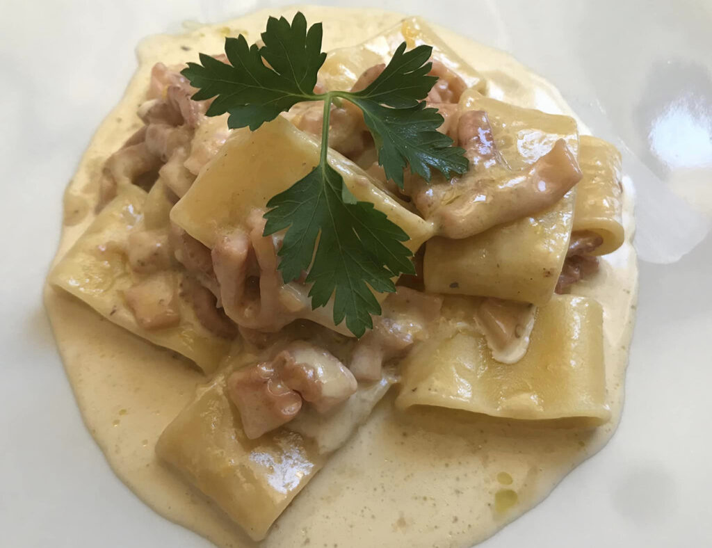 mezzi paccheri alla crema di moscardini