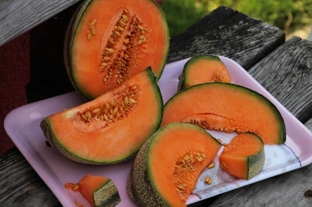melone cantalupo