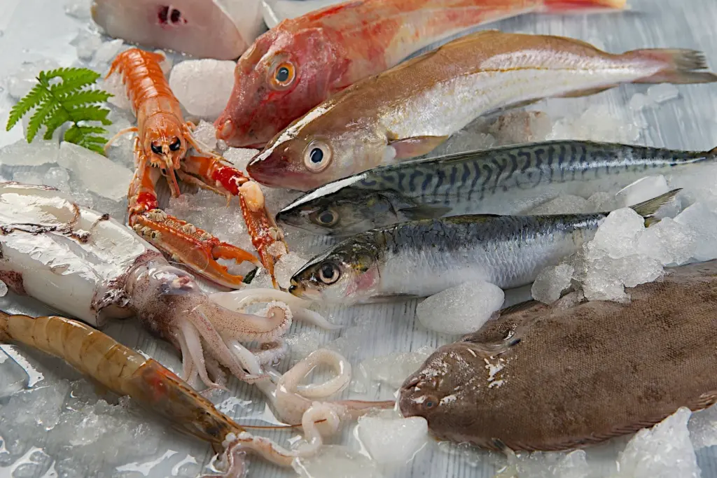 pesce fresco
