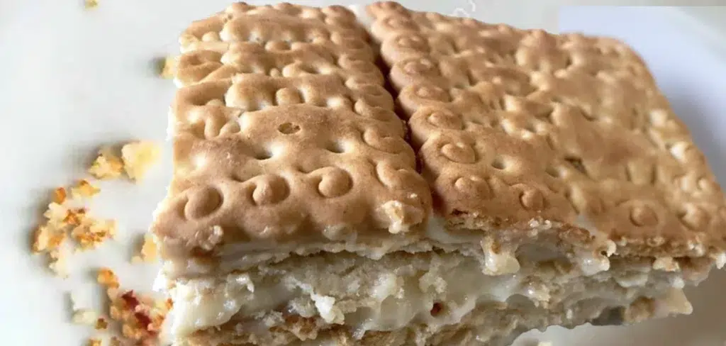 Pizza di gallette