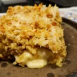 pasticcio di funghi