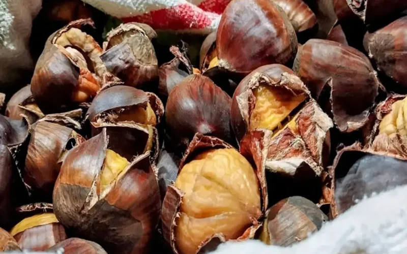 sbucciare castagne