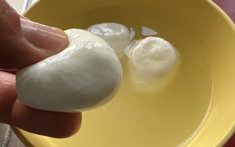 i segni per riconoscere una mozzarella fresca