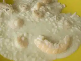 Risotto al sapore di scampetti e spumante