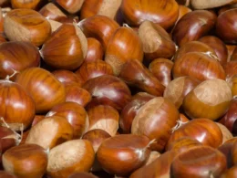 castagne buone