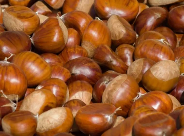 castagne buone