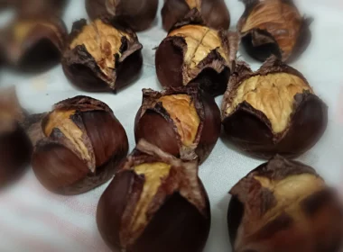 castagne in friggitrice ad aria
