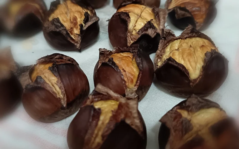 castagne in friggitrice ad aria