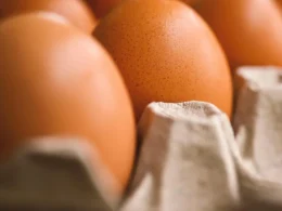 uova Ministero della Salute