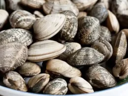 vongole
