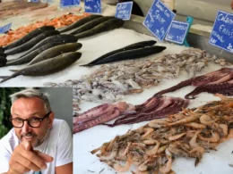 guida all'acquisto del pesce di bruno barbieri