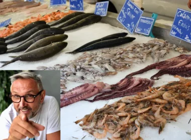 guida all'acquisto del pesce di bruno barbieri