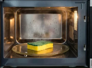 spugna nel microonde