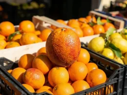 Come scegliere arance dolci