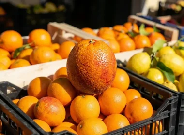 Come scegliere arance dolci