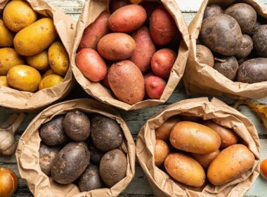 Le-varietà-di-patate