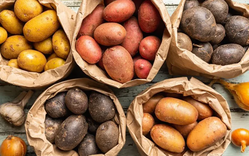 Le-varietà-di-patate