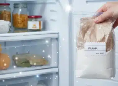 farina in freezer
